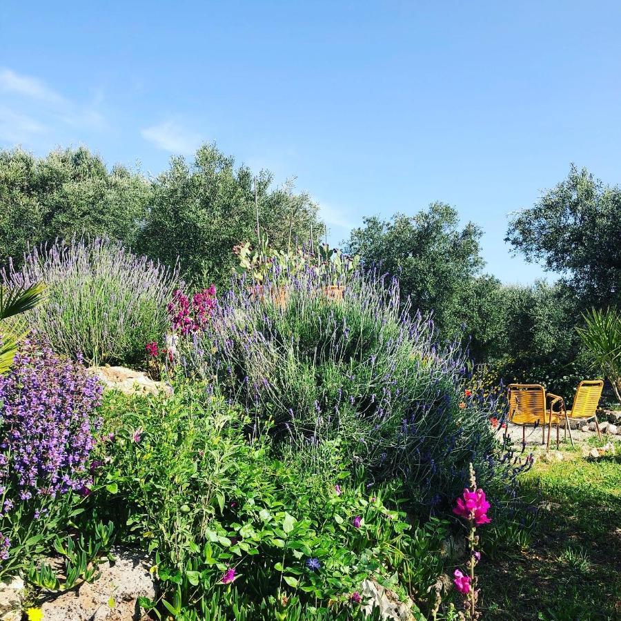 Casa Della Scrittrice Bed & Breakfast Ostuni Exterior photo