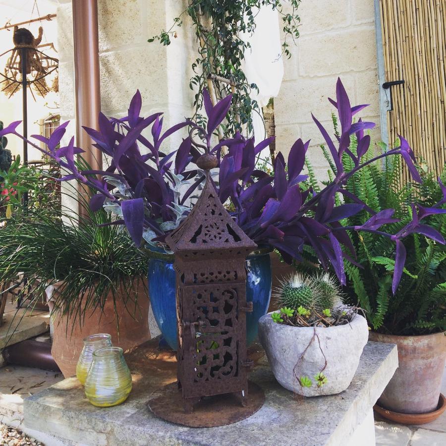 Casa Della Scrittrice Bed & Breakfast Ostuni Exterior photo